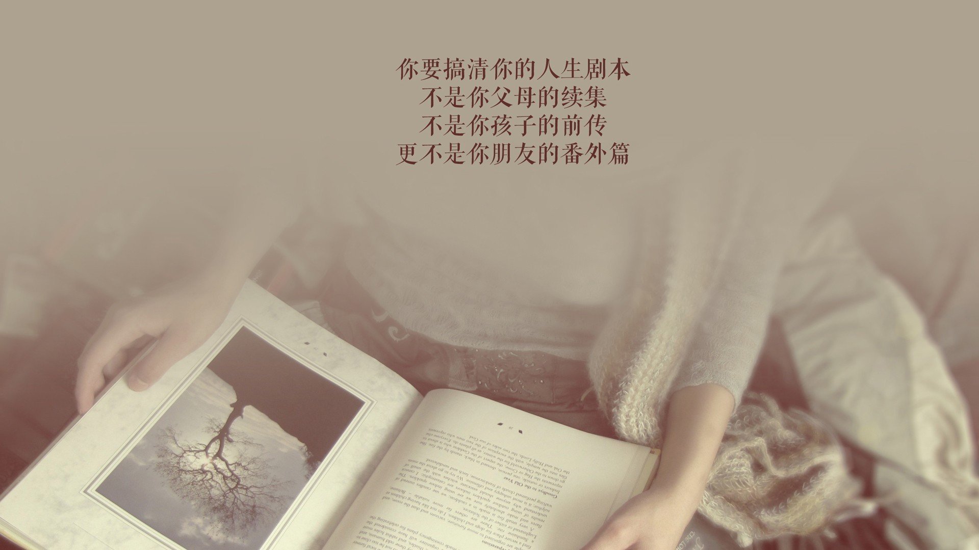 英超球队主教练更替对球队短期战绩的影响评估，英超联赛教练