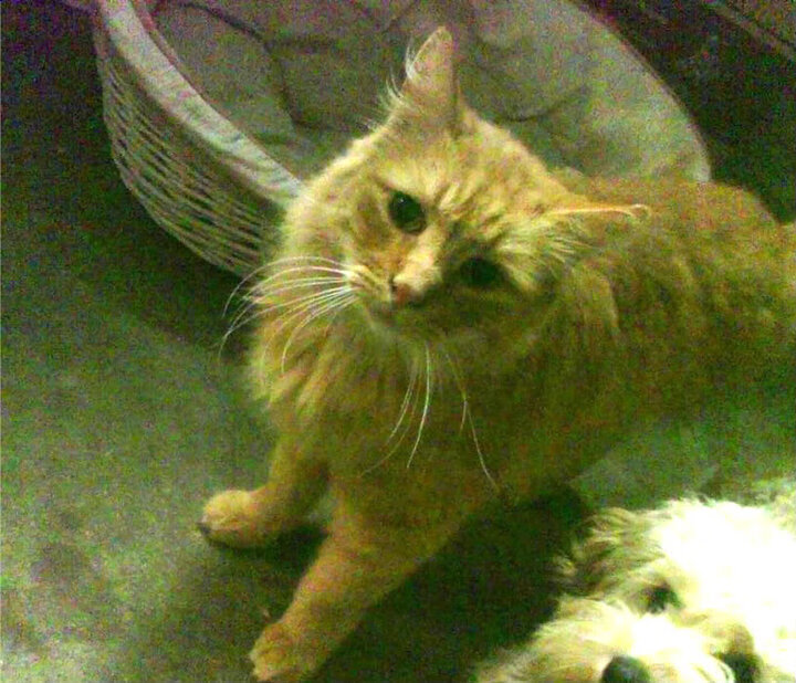 爱游戏在线登录入口-中国三人篮球女队整体战斗力提升，中国三人篮球女队整体战斗力提升记录