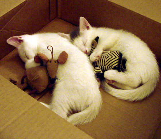 爱游戏综合娱乐-中国足球何时能真正融入国际舞台，中国足球何时冲出亚洲