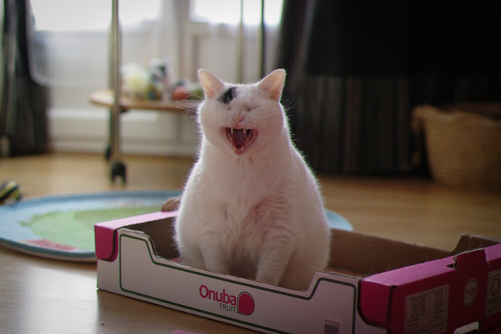 中超联赛球队竞争日益激烈，中超联赛球队竞争日益激烈的原因