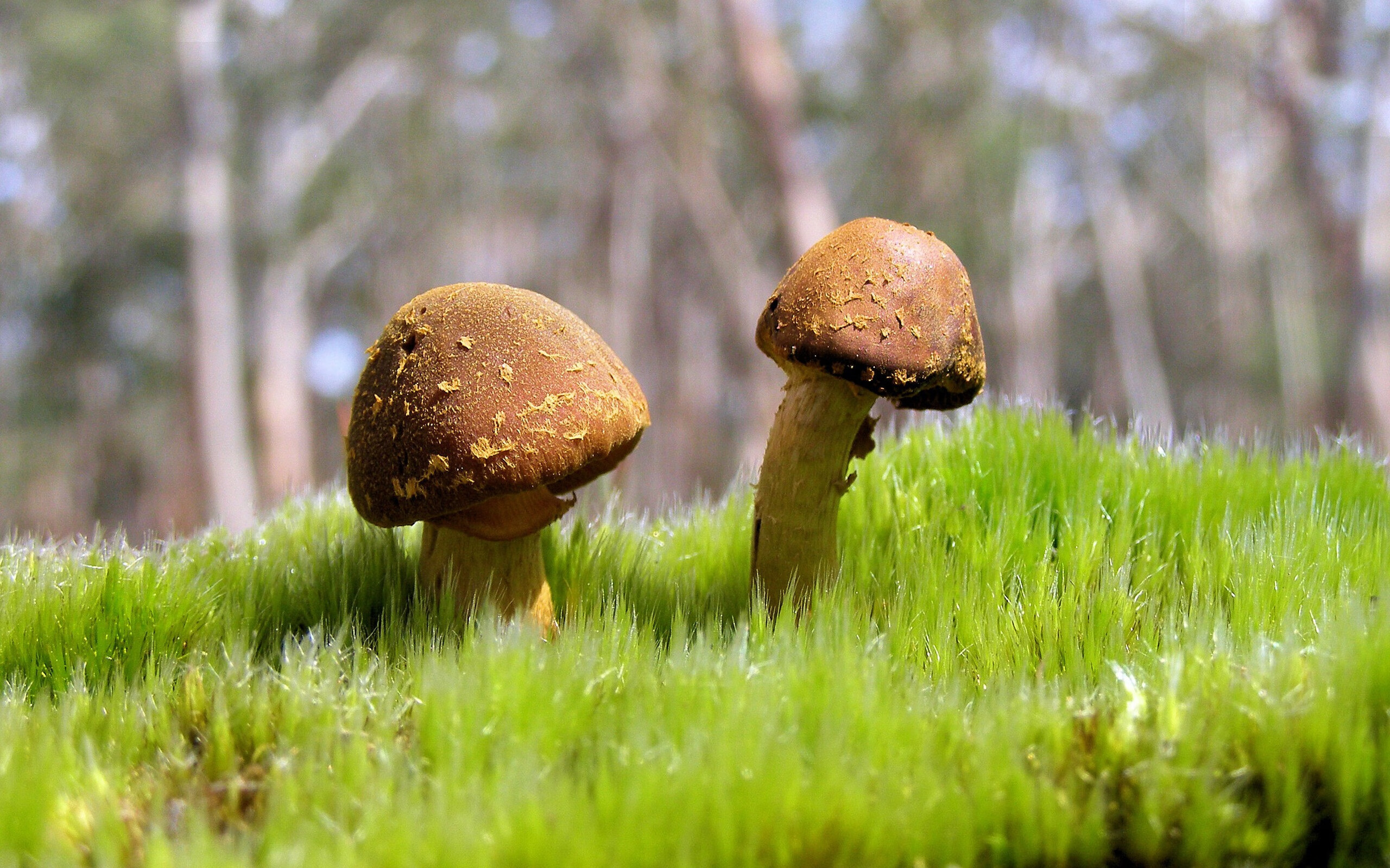 山西逆转广东季后赛第三战观众沸腾,cba山西vs广东在线观看