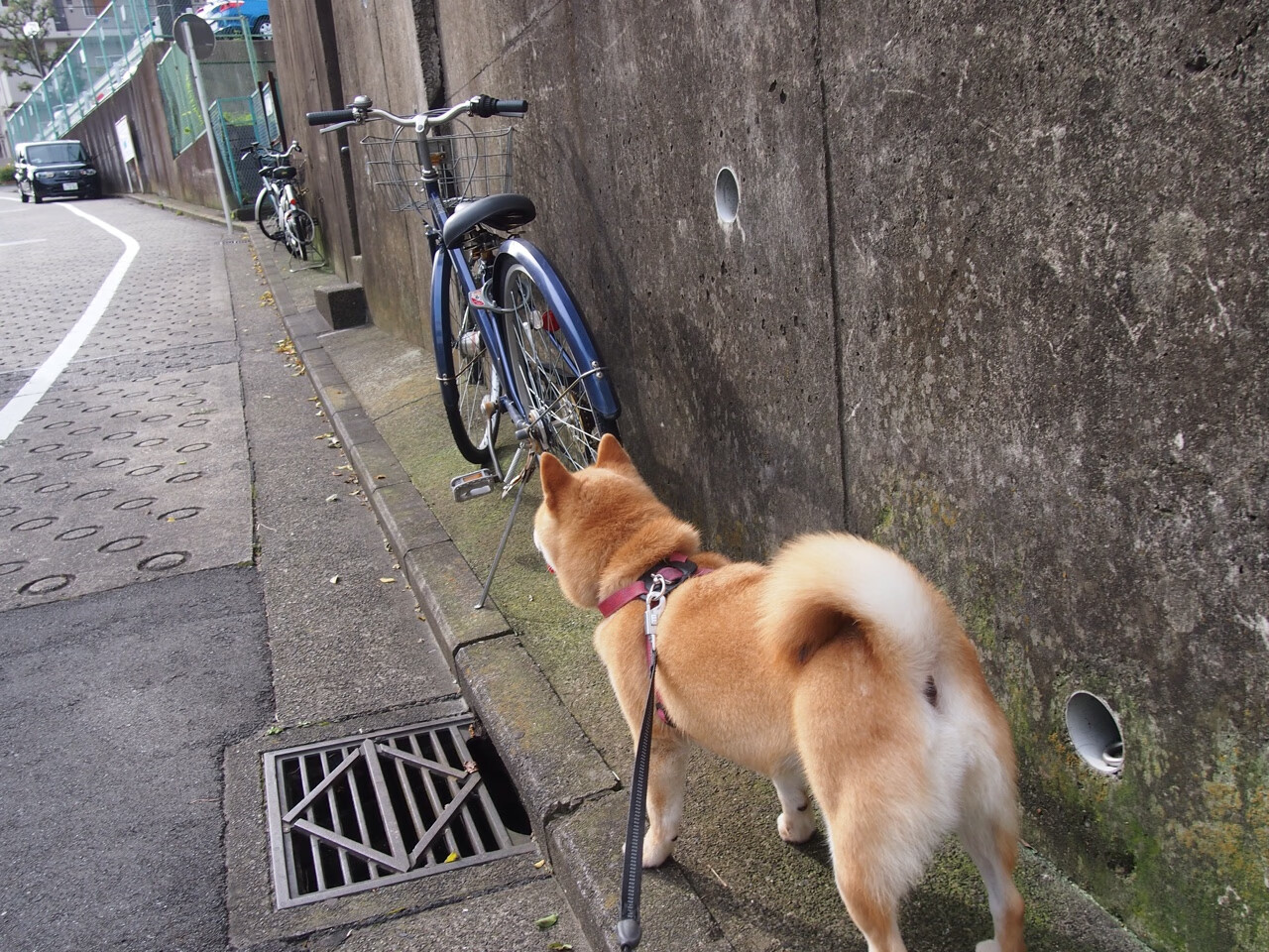 恩波利防守压迫性增强控制比赛节奏，恩波利亚