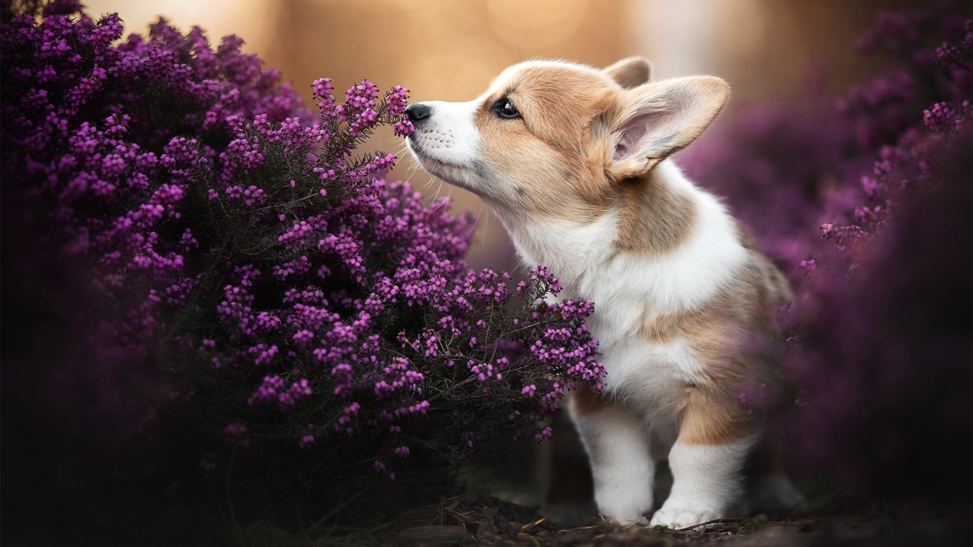 爱游戏娱乐-青少年赛事注重规则意识和安全教育，青少年赛事活动有哪些