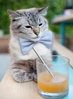 爱游戏中国官方网站平台-国王助教亲自参与投篮训练指导动作，国王助理教练