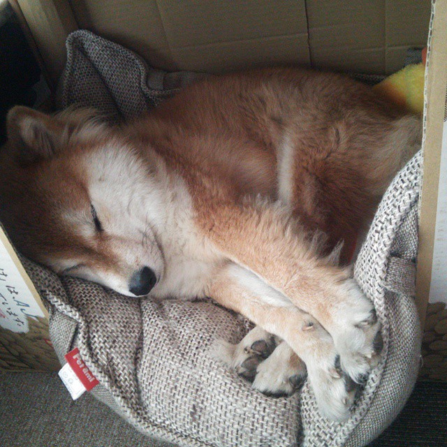 女子篮球联赛季后赛激烈,女子篮球比赛日程