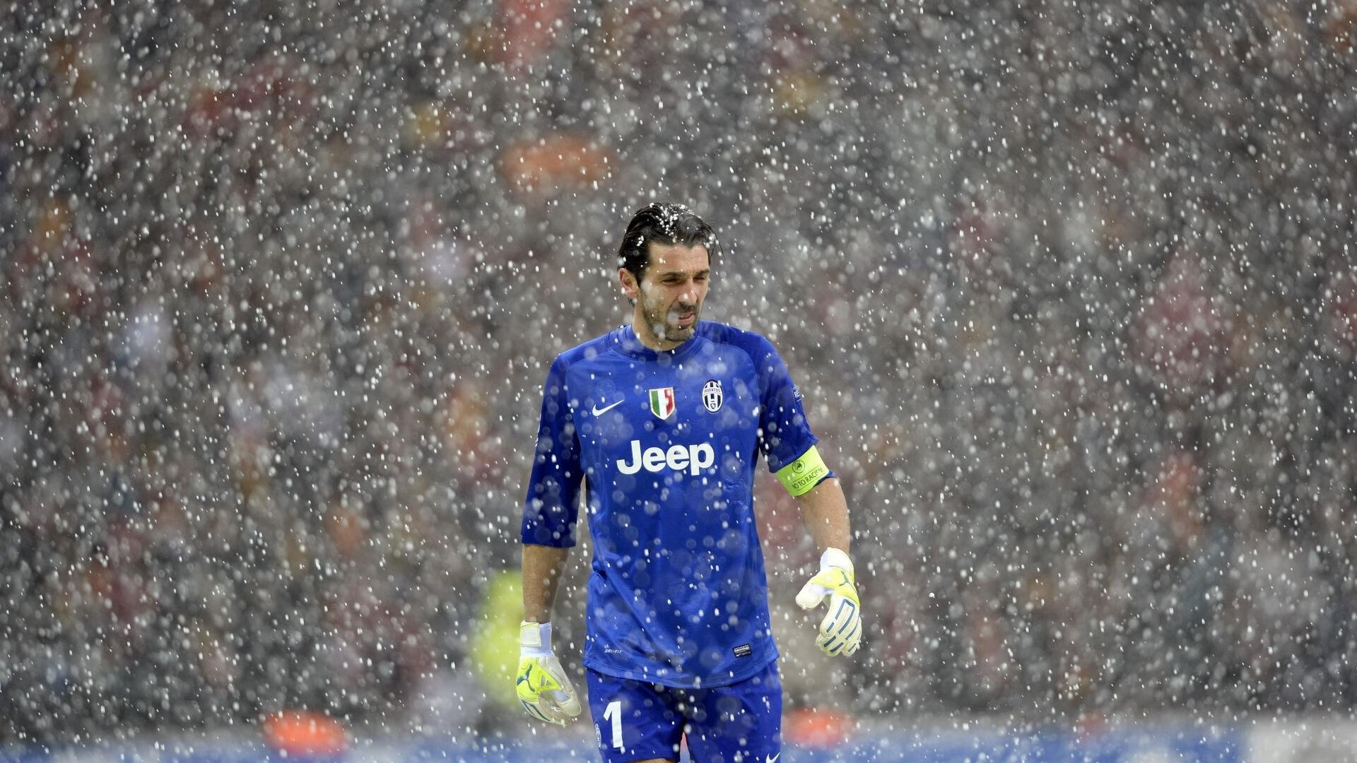 今日雄鹿比赛盘口走势预测，雄鹿今日战况